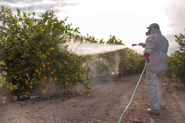 Best Best Pest Control Companies  in Powell, AL