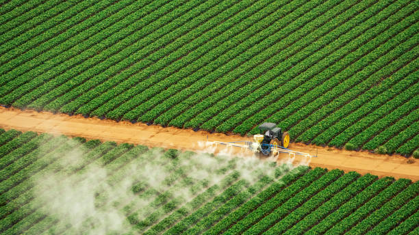 Best Pest Control Near Me in Powell, AL