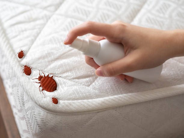 Powell, AL Pest Control Company
